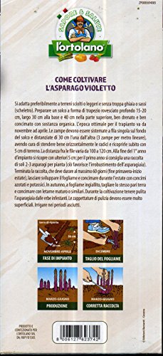 Asparago Da Trapiantare Violetto Varieta' D'albenga In Confezione Da 10 Zampe - 2