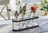 4 herausnehmbare Glasvasen in Flaschenform