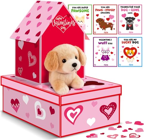 Cartes de Saint-Valentin pour garçons et filles avec 50 boîtes aux lettres en carton