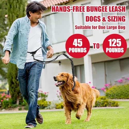 Joggingleine Hunde, Freihandleine Hund, Hundeleine Große Hund, Bauchgurt Hundeleine Zum Joggen Laufen Wandern Mit Dual Griffe, Für Mittelgroße Bis Große Hunde (Schwarz)