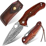 Benkey Damascus Folding Knife, Sharp VG10 Core Damascus Steel Pocket Knives with Natural Wood Handle, Quality Leather Sheath, Ball Bearing, Liner Lock, Lightweight Pocket Knife for EDC Men Women
