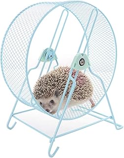 サイレントホイール 小動物用玩具 丈夫で安全 ゴールデンハムスター ハムスターボール 運動不足解消 となりのトトロハリネズミが足リスの輪を握っていない (25cm, 青い)