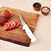 Dexter Russell Cutlery P94824 Cutlery Boning Knife, 5