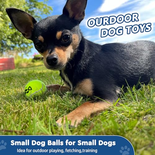 INSUM Tennisbälle für Hunde, bunt, leicht zu fangen, 5,1 cm, 12 Stück