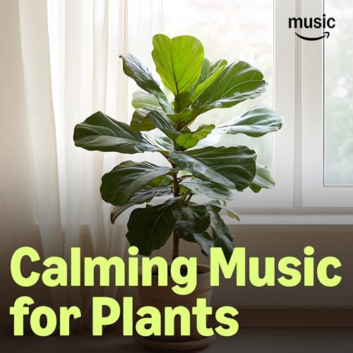 Calming Music for Plants