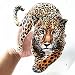Dekoracyjne plamy Fashion Heat Transfer Vinyl Naklejka 249mm Leopard Żelazko na blasku Plastry do łatki DIY 3D. Naklejki