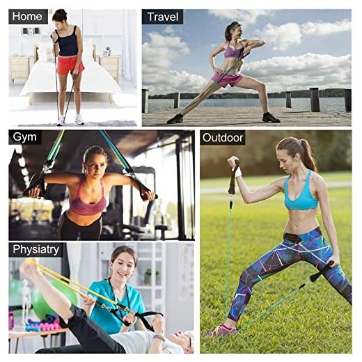 NEOVIVA Resistance Exercise Bands Set with 5 Stackable Fitness Tubes, Handles, Ankle Straps, Door Anchor, Carry Bag, Instruction for Men Women Working Out, Portable Stretch Workout Bands (12 Pack)