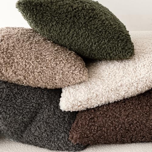 Image of Foindtower Set of 2 Curly Teddy Wool Pillow Covers Decorative Boucle Textured Lumbar Throw Pillow Faux Fur Sherpa Pillowcases Sheepskin Fuzzy Cushion Case for Sofa Bedroom Car 12 inchx20 inch Dark Gray