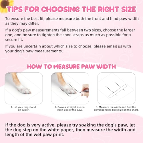 Chaussures pour chien afin de protéger les coussinets du bitume brûlant en été