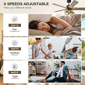 Farmhouse Ceiling Fan with Lights, 48 Inch Vintage Ceiling Lights with Remote Control, Glass Cover, 5 Dual-side Finishes Plywood Blades, Quiet DC 6 Speed Motor, Timing, for Home Outdoor Indoor, Black Farmhouse Ceiling Fan with Lights 48 Inch Vintage Ceiling Lights with Remote Control Glass Cover 5 Dual side Finishes Plywood Blades Quiet DC 6 Speed Motor Timing for Home Outdoor Indoor Black