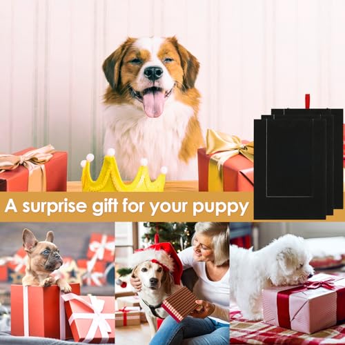 Hunde Krallen Kratzbrett 35x25x3cm Kratzbrett für Hunde mit Leckerli Box Quadrat Stressfrei Dog Nail Scratch Board für alle Arten von Hunden Dog Nail File Board für Haustiernagel Care
