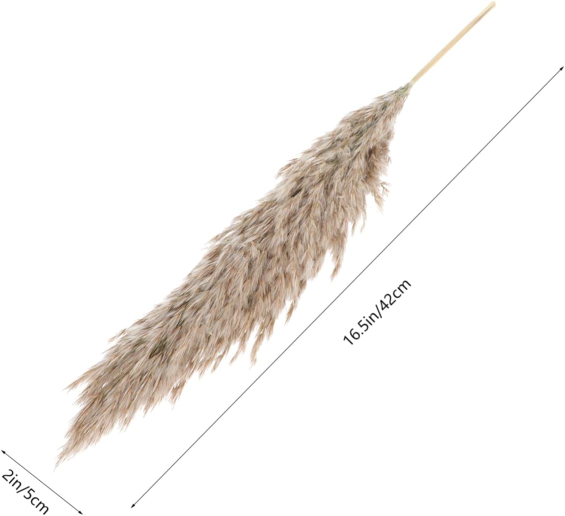 Levemolo Natural Reed Dried Flower Bouquet 15pcs Set with Original Color Reeds in Box, Nordic Style Flower Decoration for Wedding and Home Festival Props