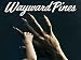 Wayward Pines Season 2