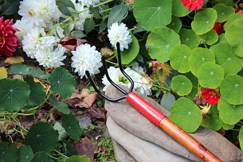 Cultivador forjado de 3 dientes 15 pulgadas miniatura 3
