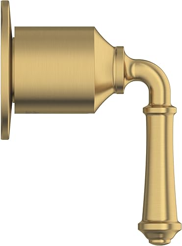 Miniatura 2 de American Standard T052430.GN0 Delancey Desviador Válvula Trim, Oro Cepillado