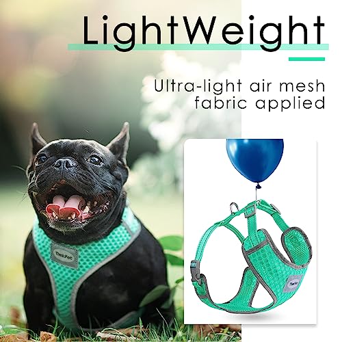 ThinkPet No-Pull Hundegeschirr Leine Set, Atmungsaktiv Brustgeschirr für Kleine Mittlere Große Hunde, Einstellbar Weich Laufgeschirre Sicher Kontrolle Gepolstert Reflektierendes Sicherheitsgeschirr
