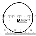 Pentair 072554 2-Inch O-Ring Cover Replacement Pool and Spa Valve