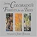 Seeing Colorado's Forests for the Trees