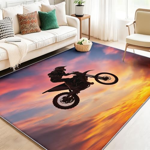 �G���A���O �o�C�N���C�_�[���O ���r���O���[���p ��^ 60 x 110 cm ����~�� �C�G���[ �T���Z�b�g �J�[�y�b�g �y�� �Z�� ����\ �Q�� �_�C�j���O �q������ ���E���W �z�[�� �I�t�B�X�����p