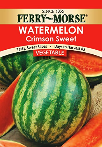 Ferry Morse Crimson Sweet Watermelon Seeds