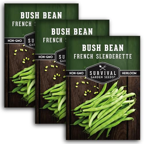 3 Packets French Slenderette Bush Bean Seeds for Planting with Instructions to Grow Haricots Verts in Your Home Vegetable Garden - Non-GMO Heirloom - Survival Garden Seeds