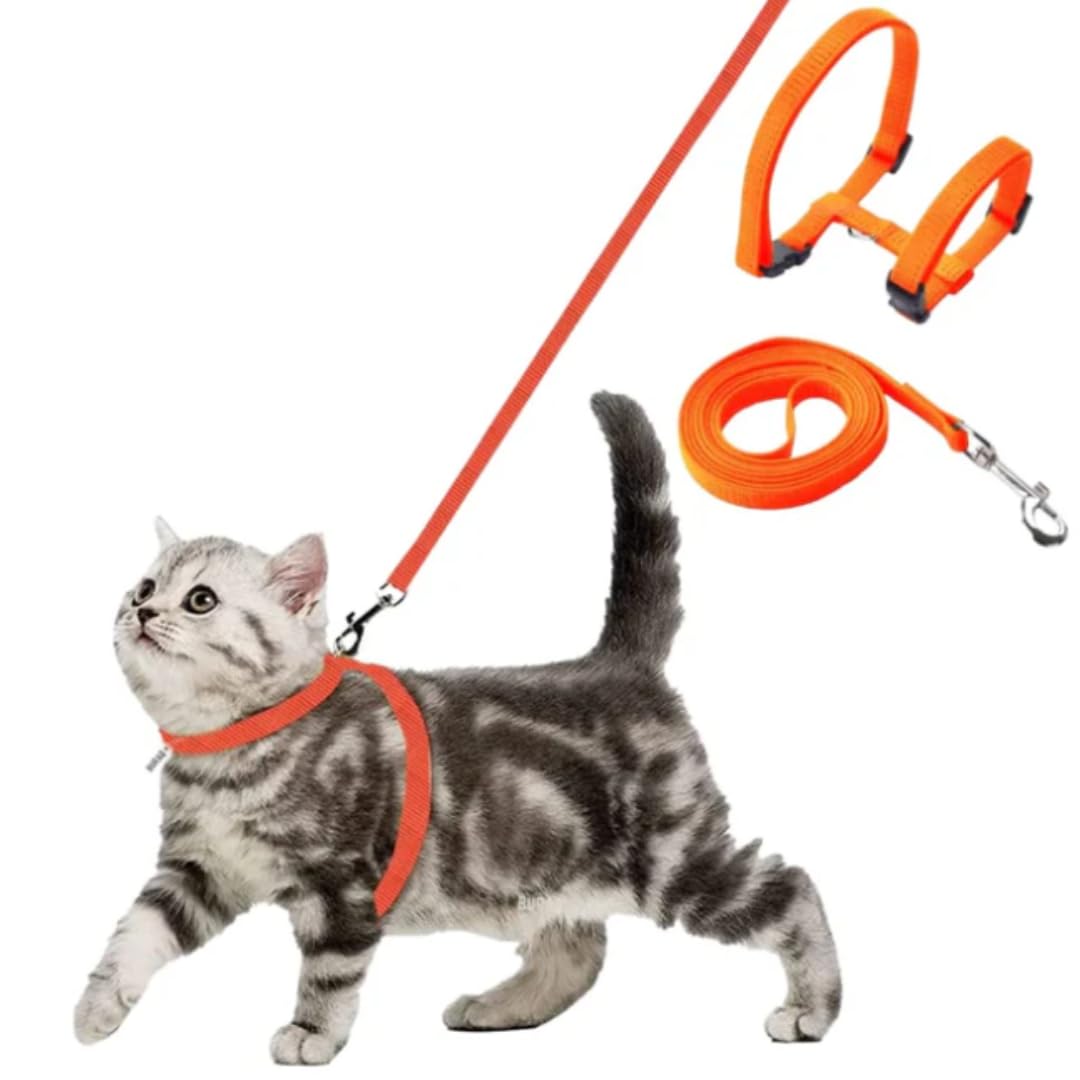 The Indian Pet Company Cat Harness with 0.5inch Leash, Cat Belt Adjustable Size Breathable Cat Vest Strap, Cat Leash with Harness for Small Cat and Dog (Orange) (B0D9QFP52P) Amazon Price History, Amazon Price Tracker