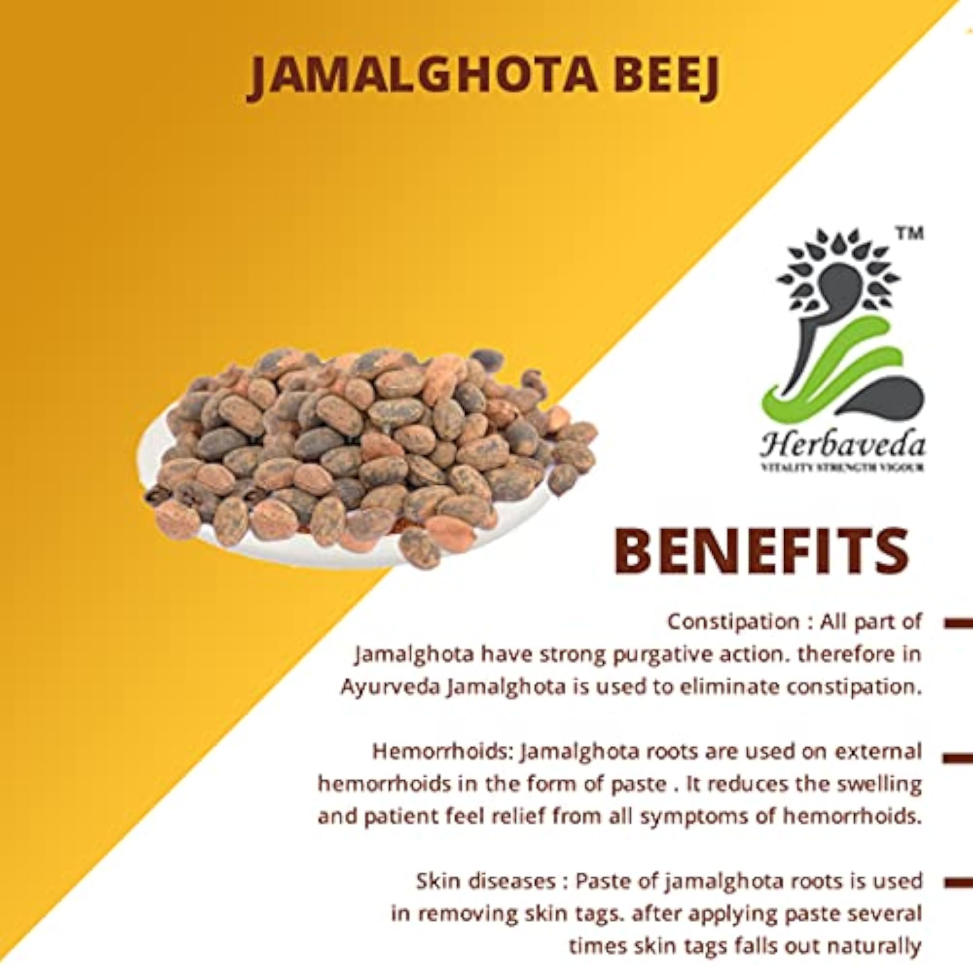 Jamalghota Beej Croton Seeds, 900 Grams