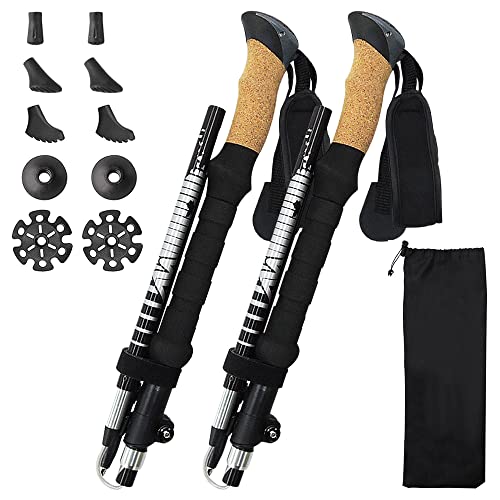 best trekking poles for hiking in New York, NY