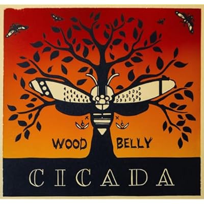 Cicada