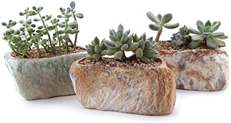 Ceramic Succulent Window Planters