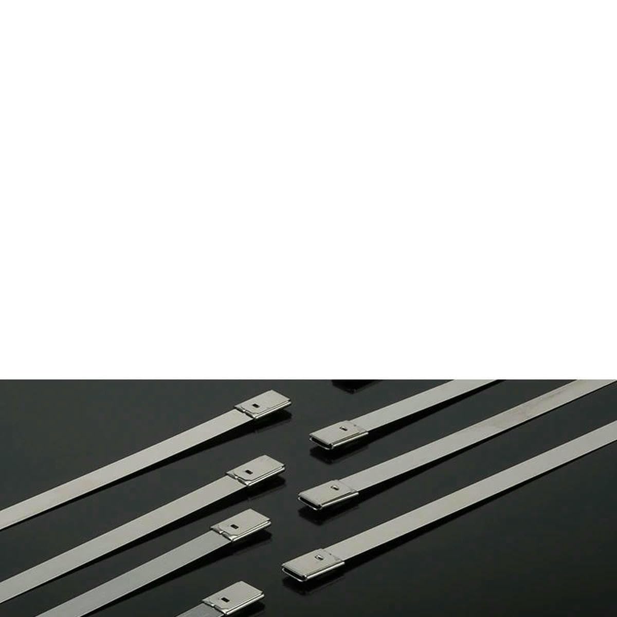 100/10Pcs 304 Cable Ties 4.6mm Heavy Duty Self-Locking Cable Zip Tie Multi-Purpose Exhaust Wrap-4.6X150mm-10