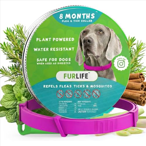 FurLife Flea and Tick Collar for Dogs Waterproof Pink Dog Collar Pet Supplies for Tick and Flea Prevention for Dogs Safe for All Breeds