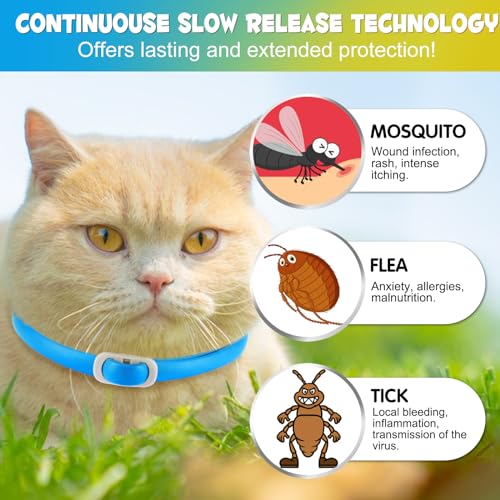 Anti-Floh- und Anti-Zecken-Halsband für Katzen, 4 Stück gegen Larven und Eier – beseitigt und tötet – schützt das Tier und den Lebensraum, effektiver Schutz für 24 Monate, verstellbar und wasserdicht