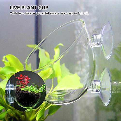 Crystal Glass Aquatic Plant Cup Pot Holder Fashionclubs Aquarium Tank Live Plant Glass Cultivation Basin Red Shrimp Holder with 2 Suckers Fish Tank Accessory - Image 3