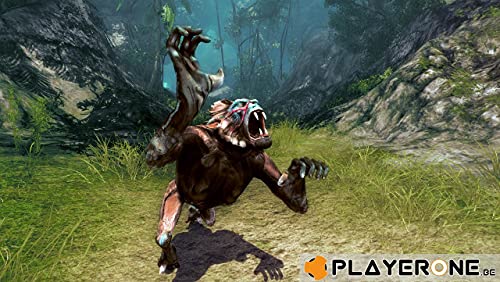 Risen 2 : Dark Waters