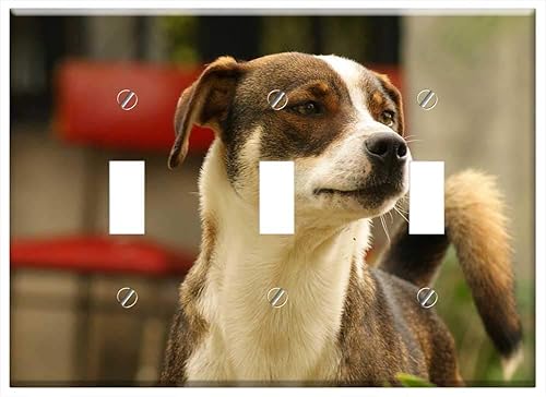 Interruptor Placa Triple Palanca - Naturaleza El Campo Quindio Colombia