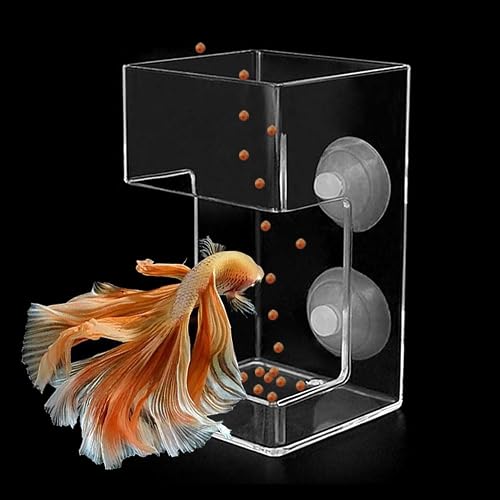 Dbeans Flourithing Comedero Peces Automatico,Cuadrado Transparente,Peces Vivos para Acuario,Moldeo Integrado