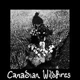 Canadian Wildfires