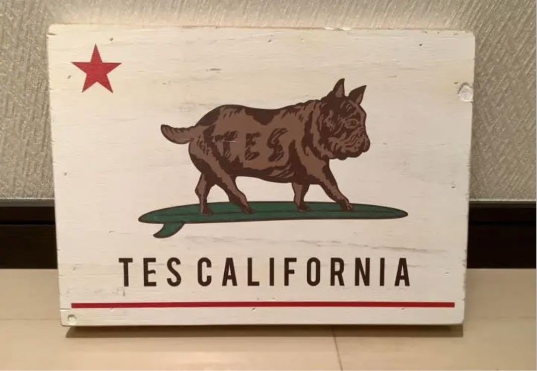 Amazon.co.jp: The Endless Summerエンドレスサマー BUHIブヒ