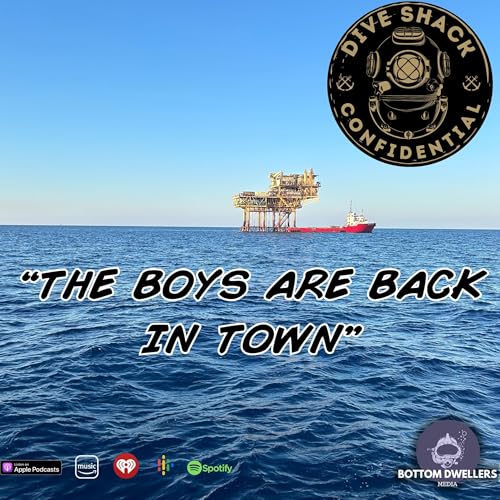 Page de couverture de The Boys Are Back In Town