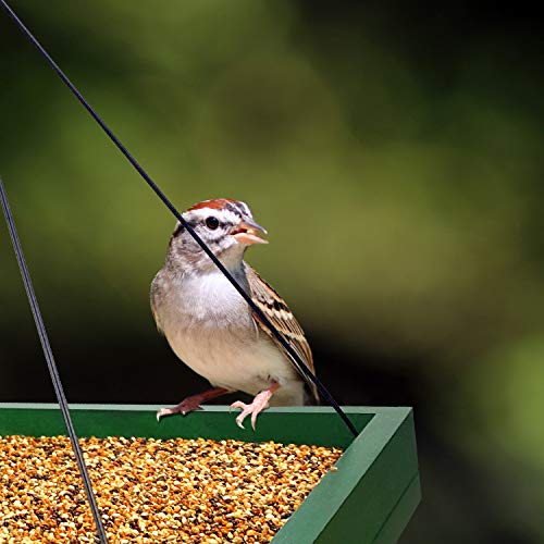 Prime 2-Pack Wooden Hanging Mesh Platform Bird Feeder Tray 13.49 + Free Shipping + 55% Off Code USTPZNZP - image 6