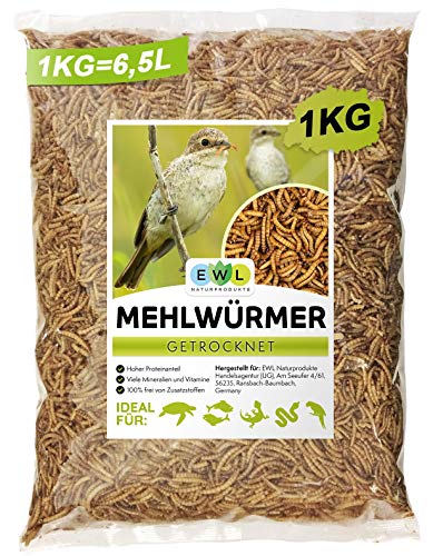 EWL Naturprodukte Gusanos secos de harina, 1 kg = 6500 ml, aperitivo para pájaros, peces, tortugas, roedores y reptiles.