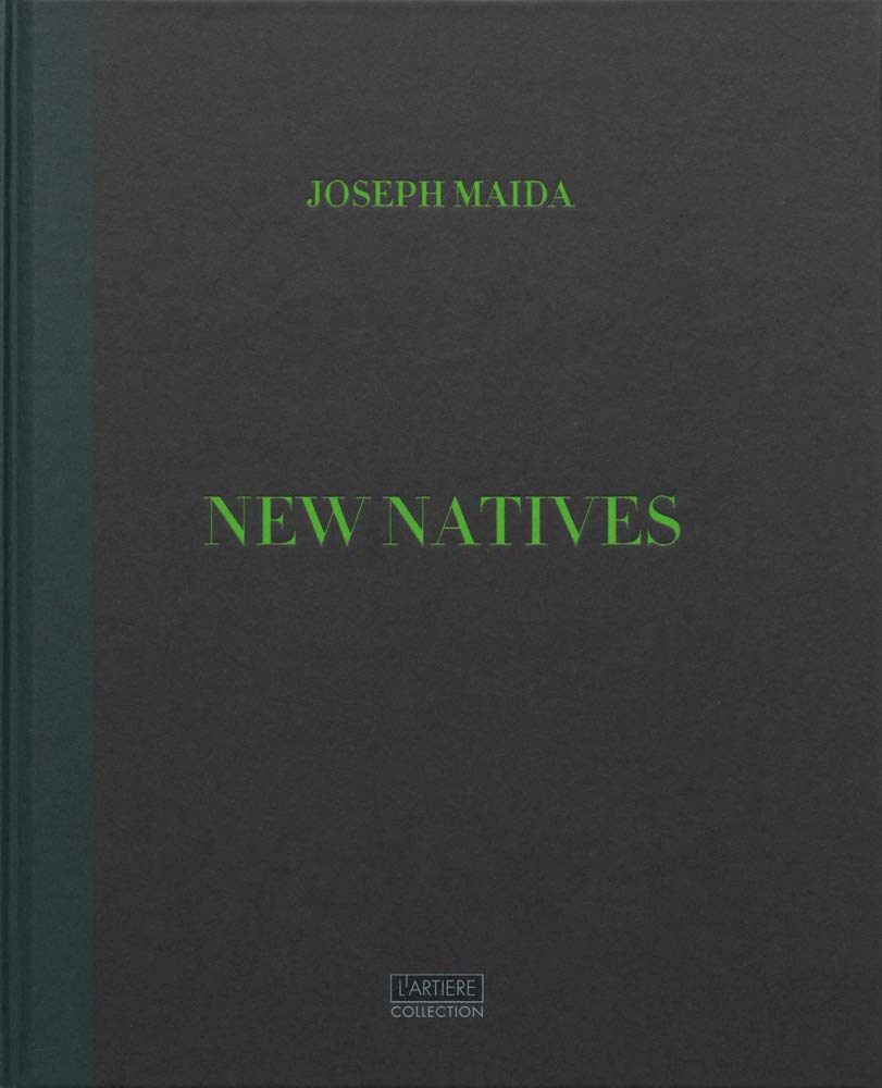 New natives feuillage persistant pour purifier l'air de la maison