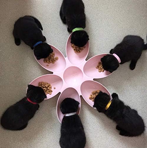 ABNOBA PET STORE Weaning Food Milk Dish 6 Feeding Bowls In one, Stackable Kitten/Puppy whelping PINK DISH