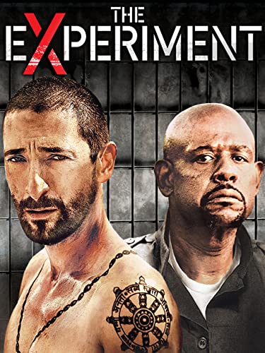  The Experiment