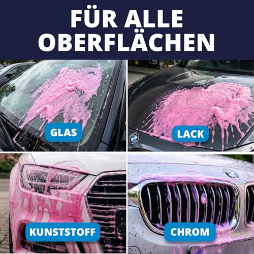 LICARGO Insektenentferner Auto 750ml – Insektenreiniger löst hartnäckige Insektenreste, Vogelkot, Baumharz… – Ansicht 5