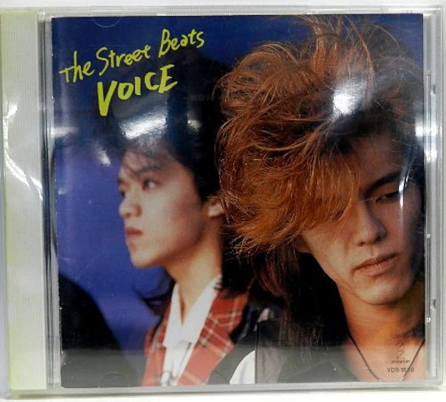 希少！『VOICE』THE STREET BEATS アナログLP 希少！『VOICE』THE STREET BEATS アナログLP 希少！『VOICE
