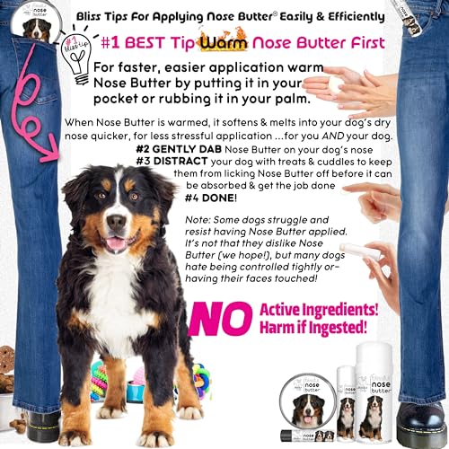 Image of The Blissful Dog Bernese Mountain Nose Butter, Versatile Dog Nose Balm for Dry Nose, Handcrafted Nose Moisturizer, Easy-to-Apply Dog Essentials, Unscented, 0.15 oz.