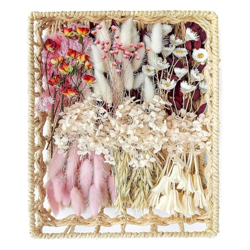 Flores secas para decoración y manualidades miniatura 4