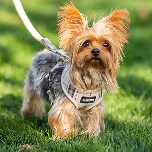 Aluzaemo Small Dog Harness And Leash Set - No Pull Plaid Cute Dog Vest Harness - Walking Adjustable Breathable Mesh Dog Full Body Harness No Escape Outdoor Running Training #TOP4